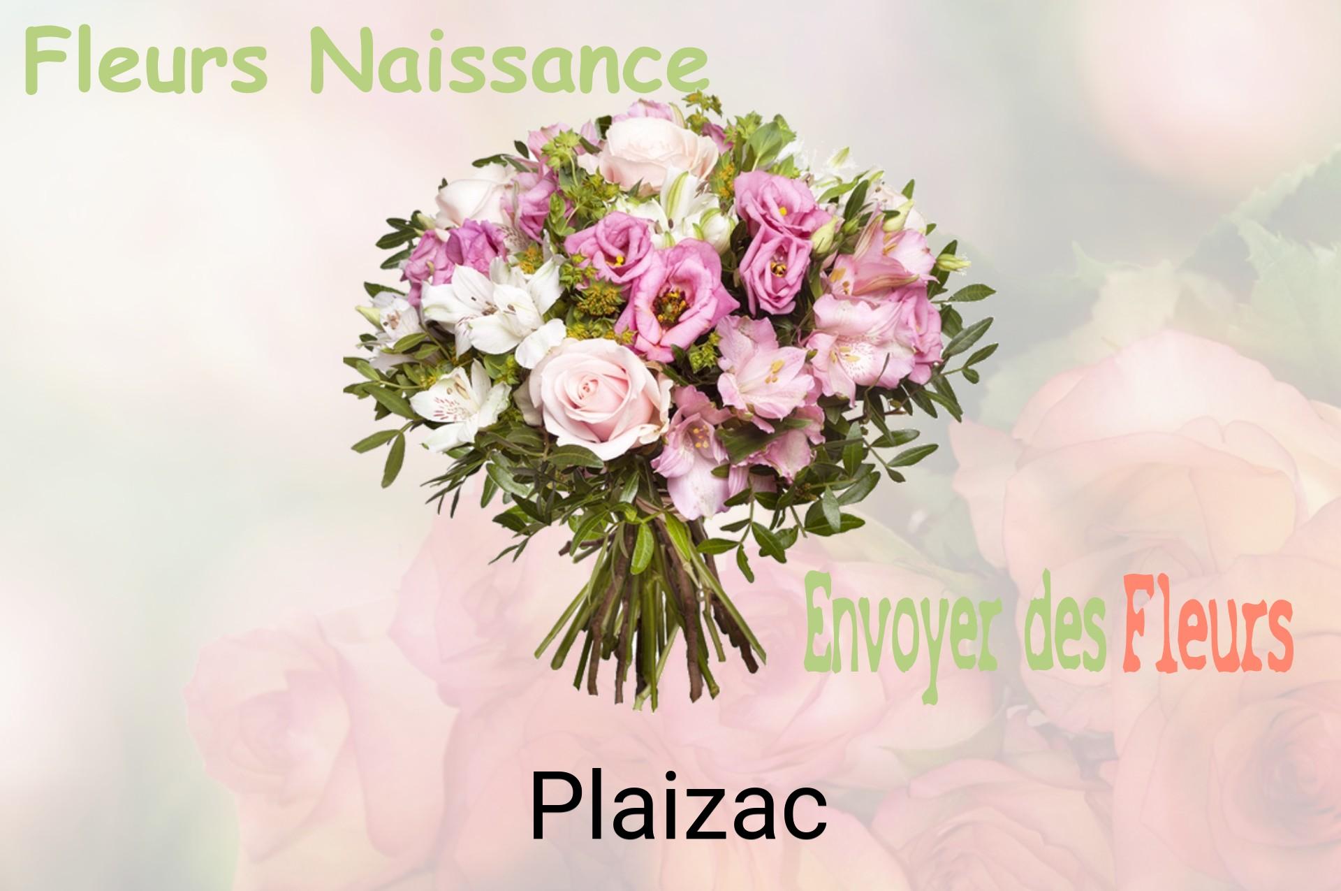 Bouquet de fleurs de naissance livré à Plaizac
